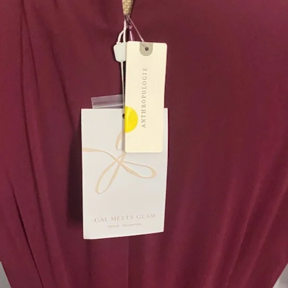 Anthropologie Gal Meets Glam Dress Size 12 New with Tags Wine Color Gorgeous - Picture 3 of 6